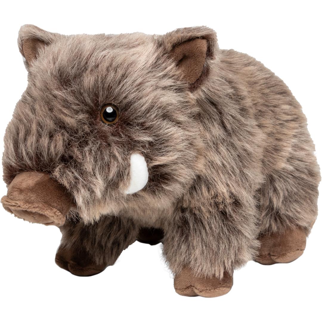 Wildschwein Nicolo